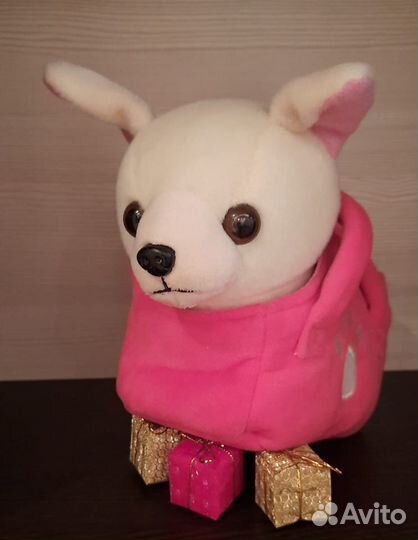 Собачка Чихуа в сумочке