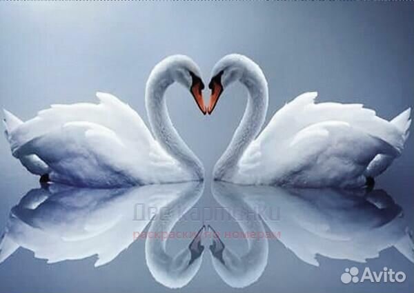 Алмазная мозаика 30x40 Два белоснежных лебедя