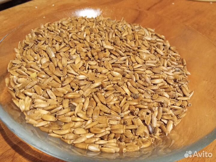 Расторопша семена