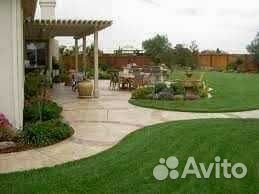 Укладка и продажа газона