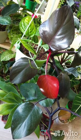 Интернет магазин