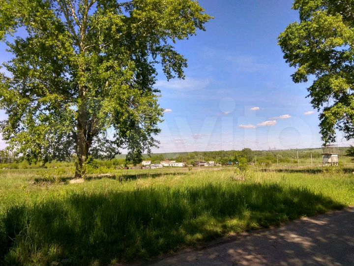 Участок 40 сот. (СНТ, ДНП)