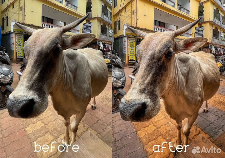 Цветокоррекция фотографий, ретушь