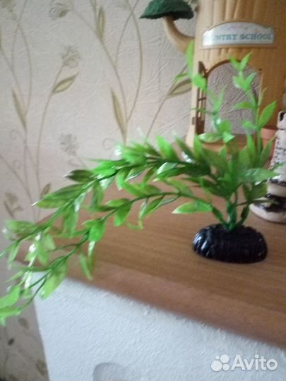 Предметы для аквариума