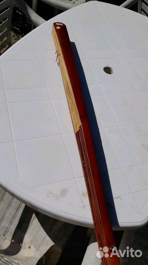 Веер дерево германия красота