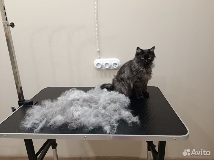 Груминг кошек