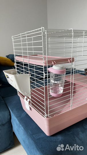 Клетка в идеальном состоянии