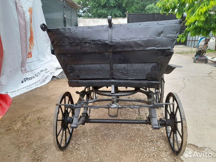 Для животных