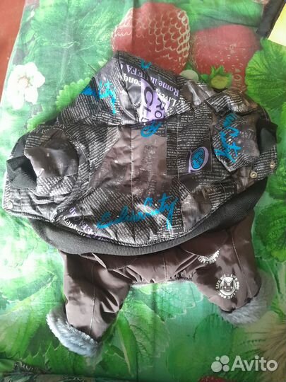 Одежда для маленьких собак