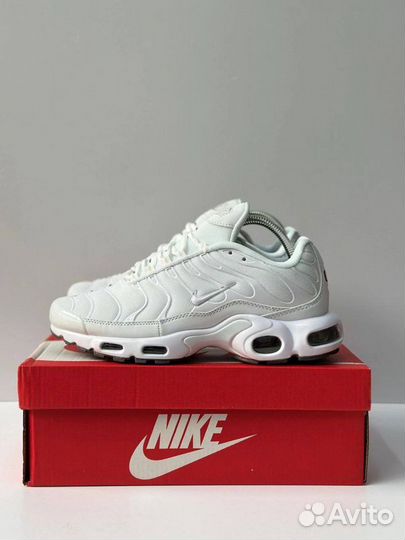 Кроссовки Nike air max Tn plus летние мужские