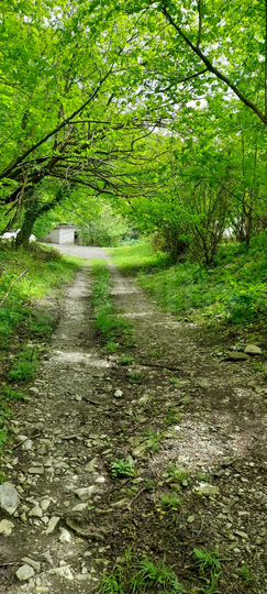 Участок 18,5 сот. (ИЖС)