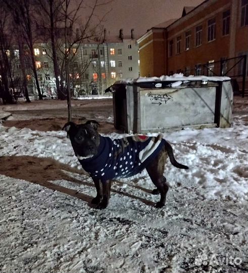 Зоогостиница