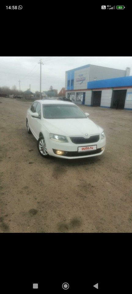 Skoda Octavia: фото владельца