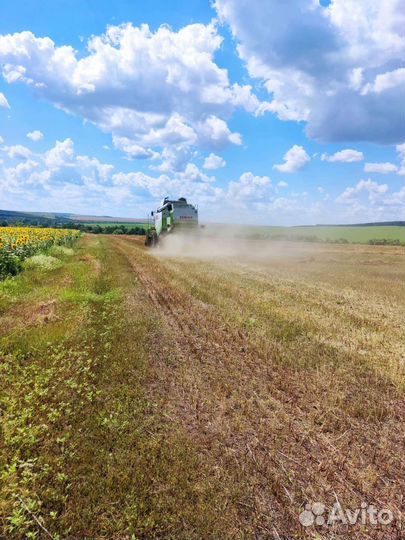 Услуги по уборке урожая на 2023г