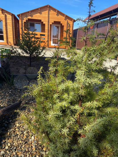 Дом 24 м² на участке 5 сот.