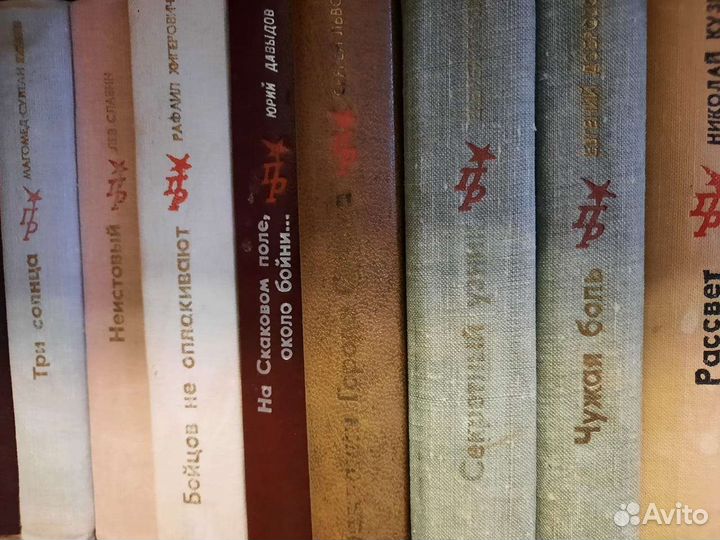 Пламенные революционеры, книги