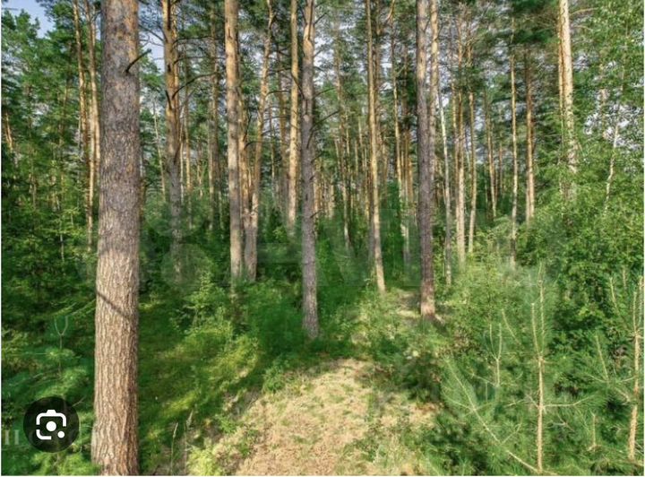 Участок 16,4 сот. (ИЖС)