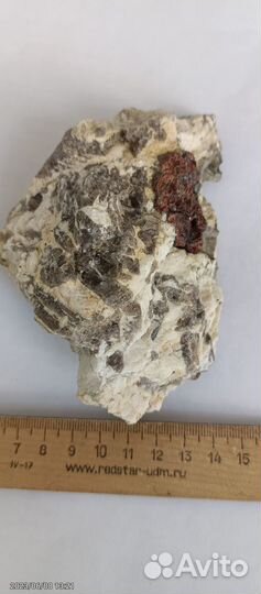 Кристаллы гранат-альмандина в пегматите.№524