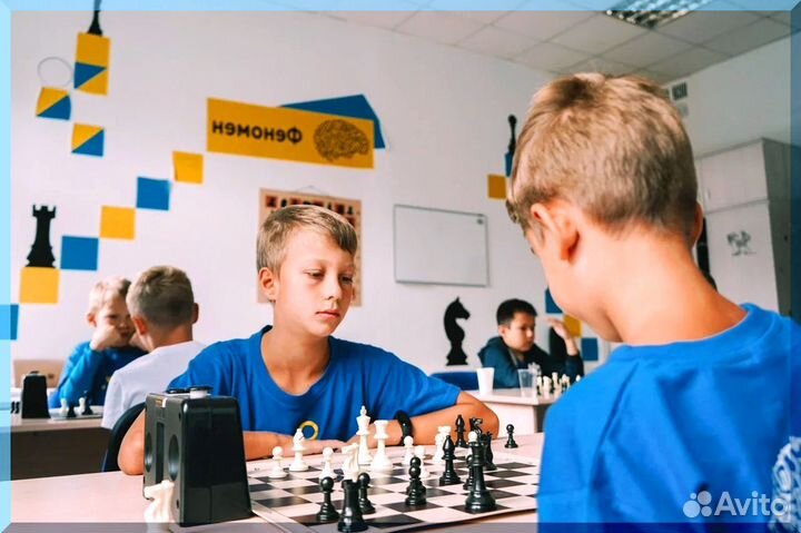 Франшиза в сфере образования — Феномен