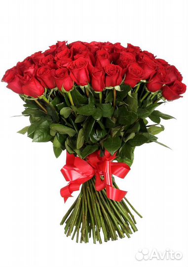 Розы букет 51 красная роза