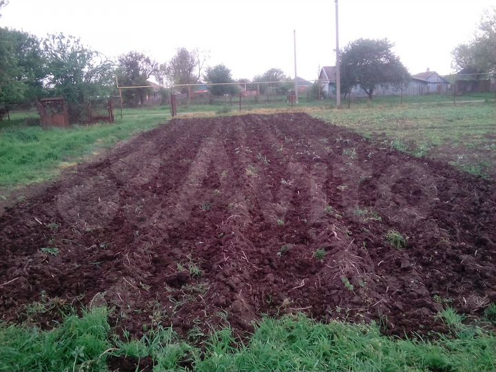 Участок 17 сот. (ИЖС)