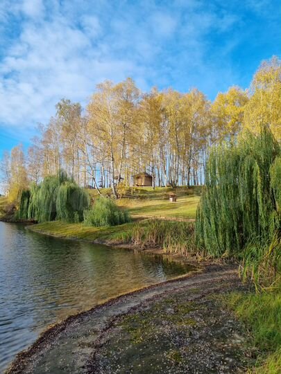 Участок 2,4 га (ИЖС)