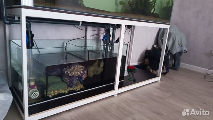 Аквариум+самп