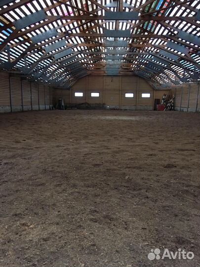 Конный клуб