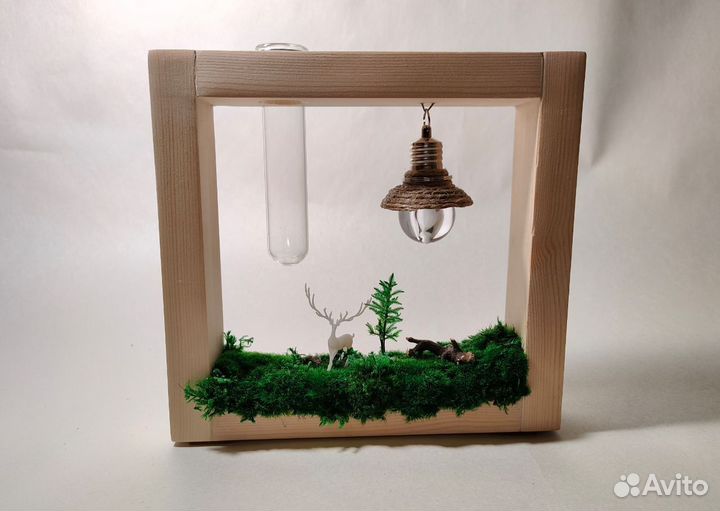 Рамка для цветов и сухоцветов