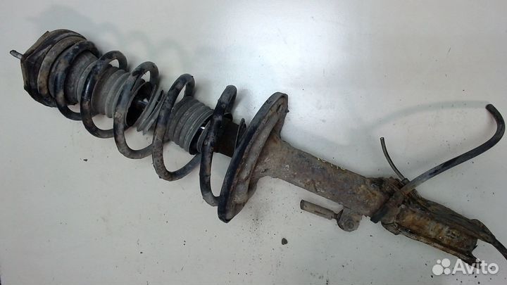 Амортизатор подвески Toyota Solara, 2006