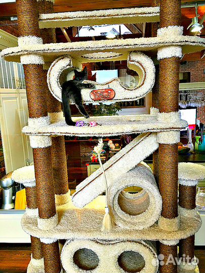 Комплекс-дом для кошки 