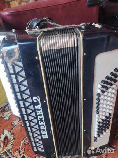 Аккордеон березка 2