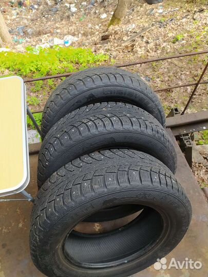 Gislaved Nord Frost 5 195/65 R15