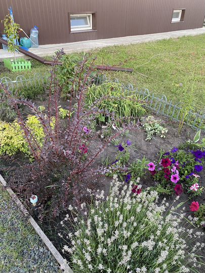 Дом 286,5 м² на участке 16 сот.