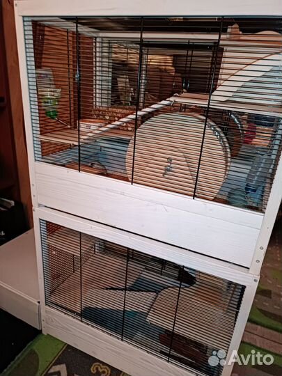 Клетка Витрина для шиншилл, дегу, белки, хомяков