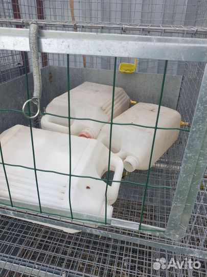Большая клетка для птиц