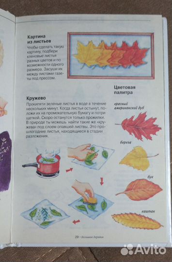 Книга Мир живой природы. Лес