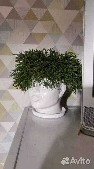 Фигурное кашпо Голова, 15 см