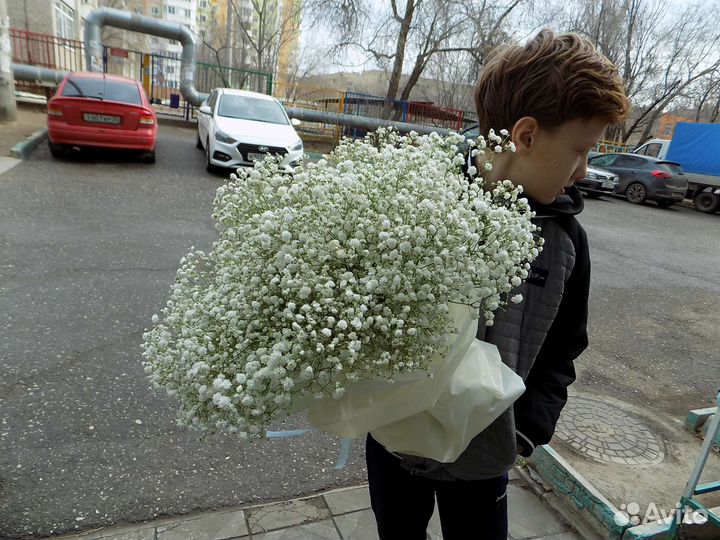 Гипсофила. Букеты. Композиции