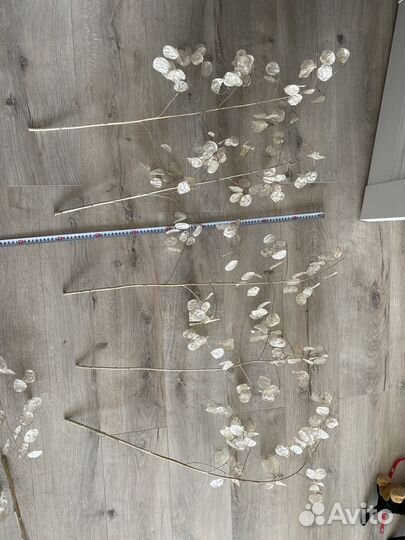 Сухоцветы для творчества