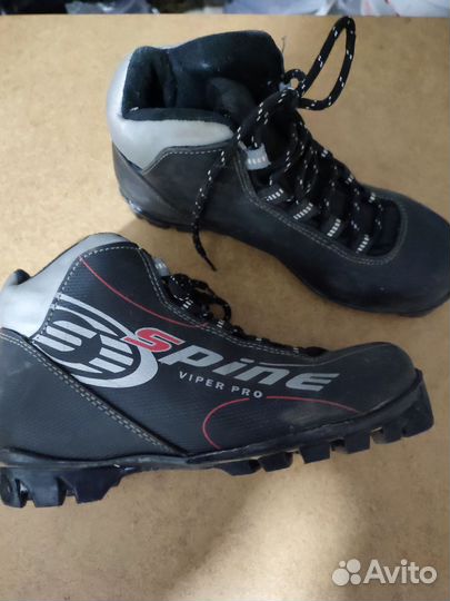 Лыжные ботинки spine 37