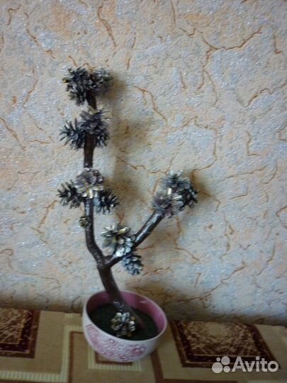 Бонсай из шишек