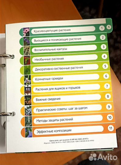 Энциклопедия комнатных растений