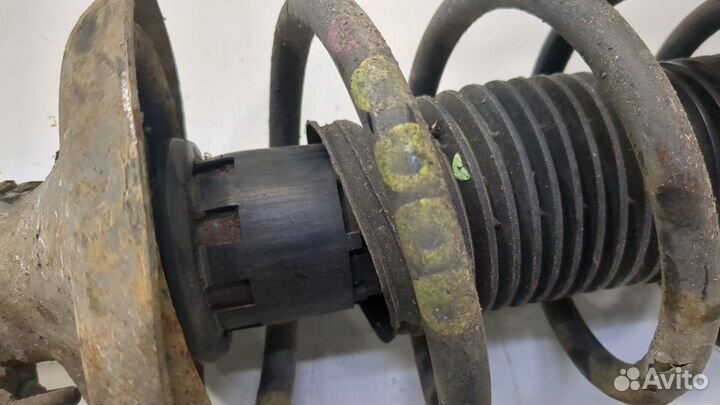 Амортизатор подвески Audi A3 (8L1), 1998