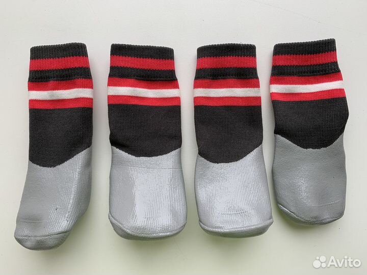 Носки для собаки