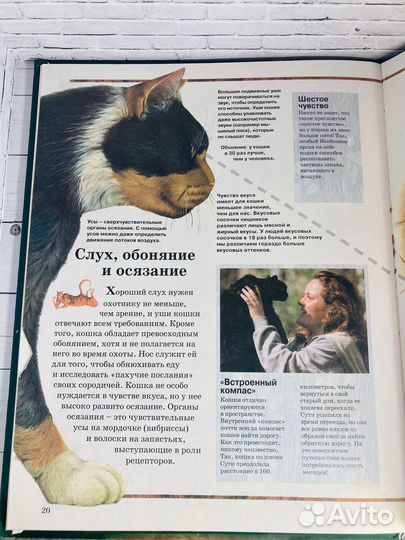 Детская энциклопедия «Кошки»