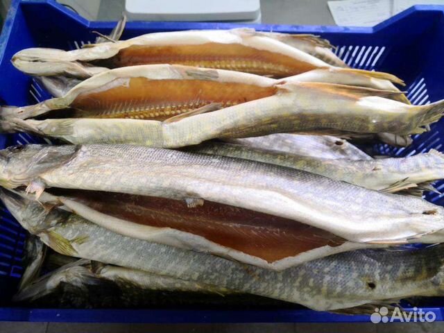 Щука вяленая Астрахань 2023