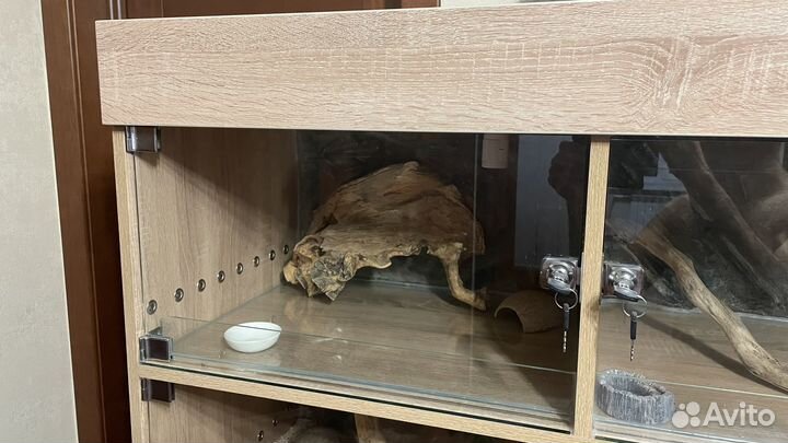 Террариум для рептилий