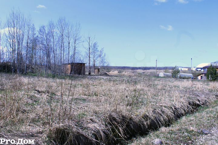 Участок 12 сот. (СНТ, ДНП)