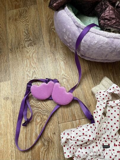 Переноска, лежанка и одежда для собаки до 2 кг